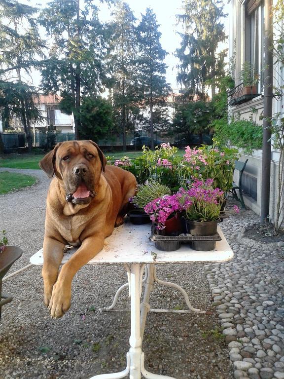 Invilla B&B Варезе Экстерьер фото